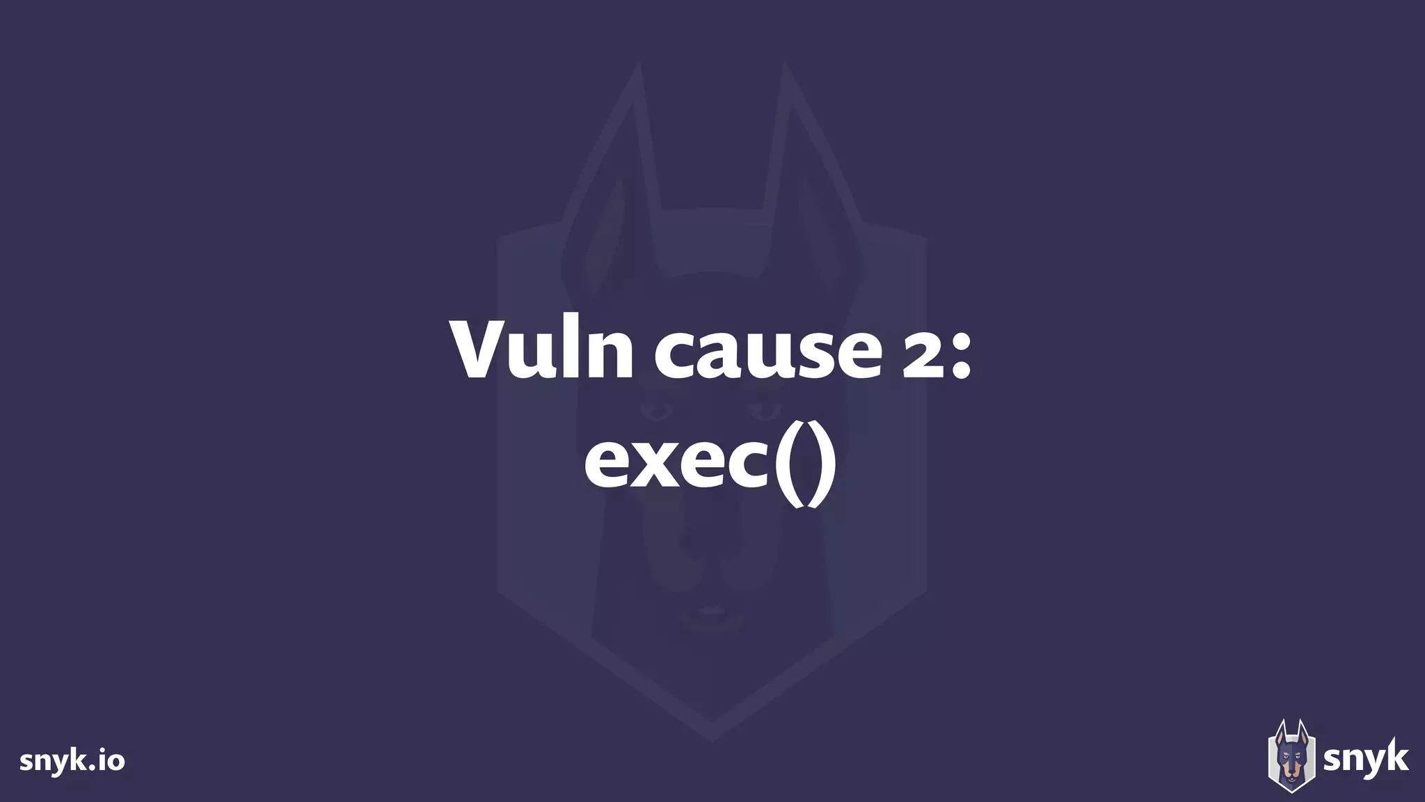 snyk.io
Vuln cause 2: 
exec()
 