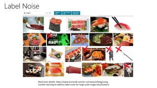 Read more details: https://www.microsoft.com/en-us/research/blog/using-
transfer-learning-to-address-label-noise-for-large-scale-image-classification/
Label Noise
 