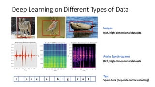 Audio Spectrograms
Images
Rich, high-dimensional datasets
Rich, high-dimensional datasets
Text
Spare data (depends on the encoding)I s e e a b I g c a t
Deep Learning on Different Types of Data
 