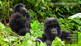 …Position
away from
them!
So What Do You Do?
 