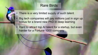 Rare Birds
• There is a very limited supply of such talent
• Big tech companies will pay millions just in sign up
bonus for a brand new PhD in deep learning
• Hard to attract top AI talent for a startup, but even
harder for a Fortune 1000 company
 