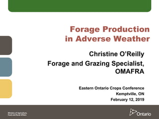 Forage Production
in Adverse Weather
Christine O’Reilly
Forage and Grazing Specialist,
OMAFRA
Eastern Ontario Crops Conference
Kemptville, ON
February 12, 2019
 