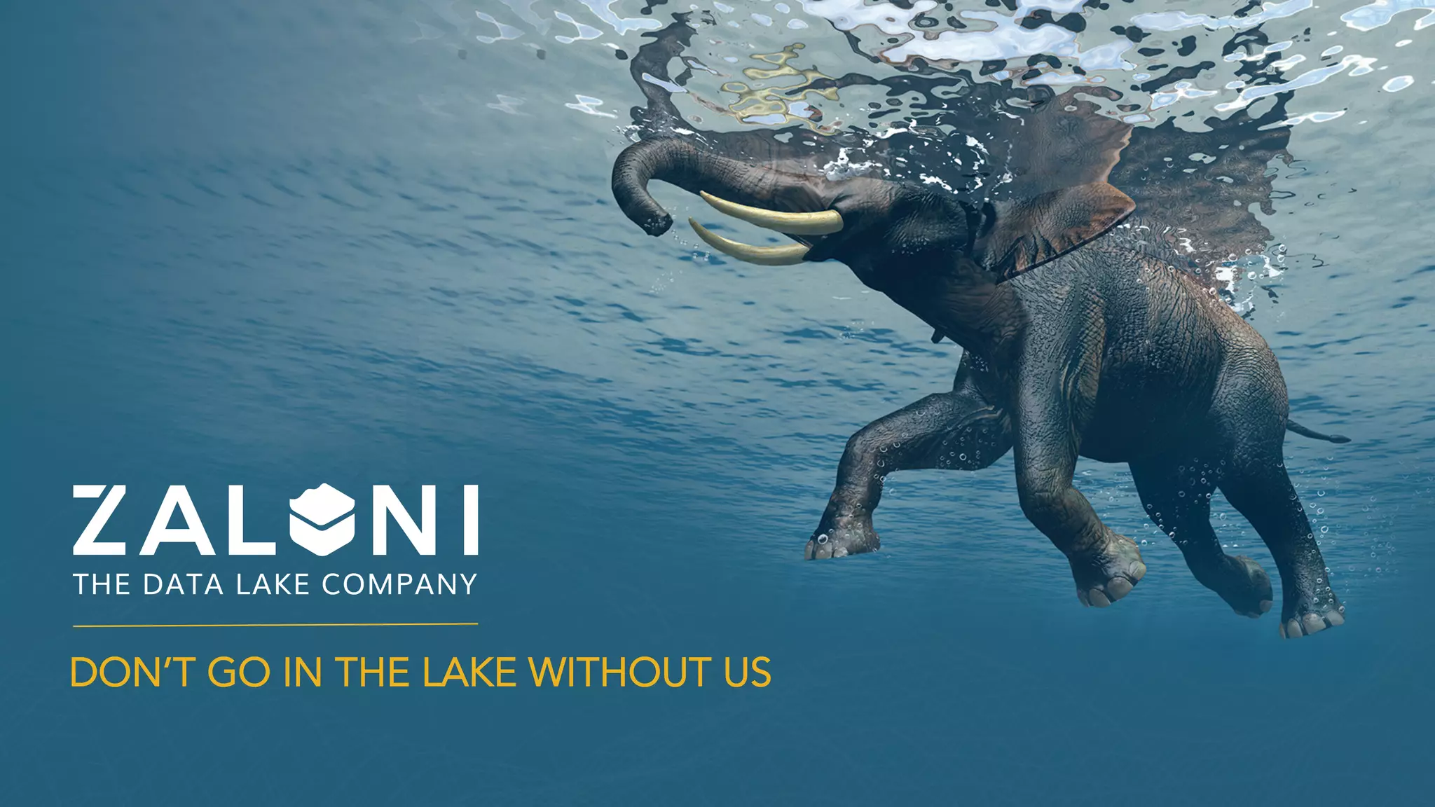 DON’T GO IN THE LAKE WITHOUT US
 