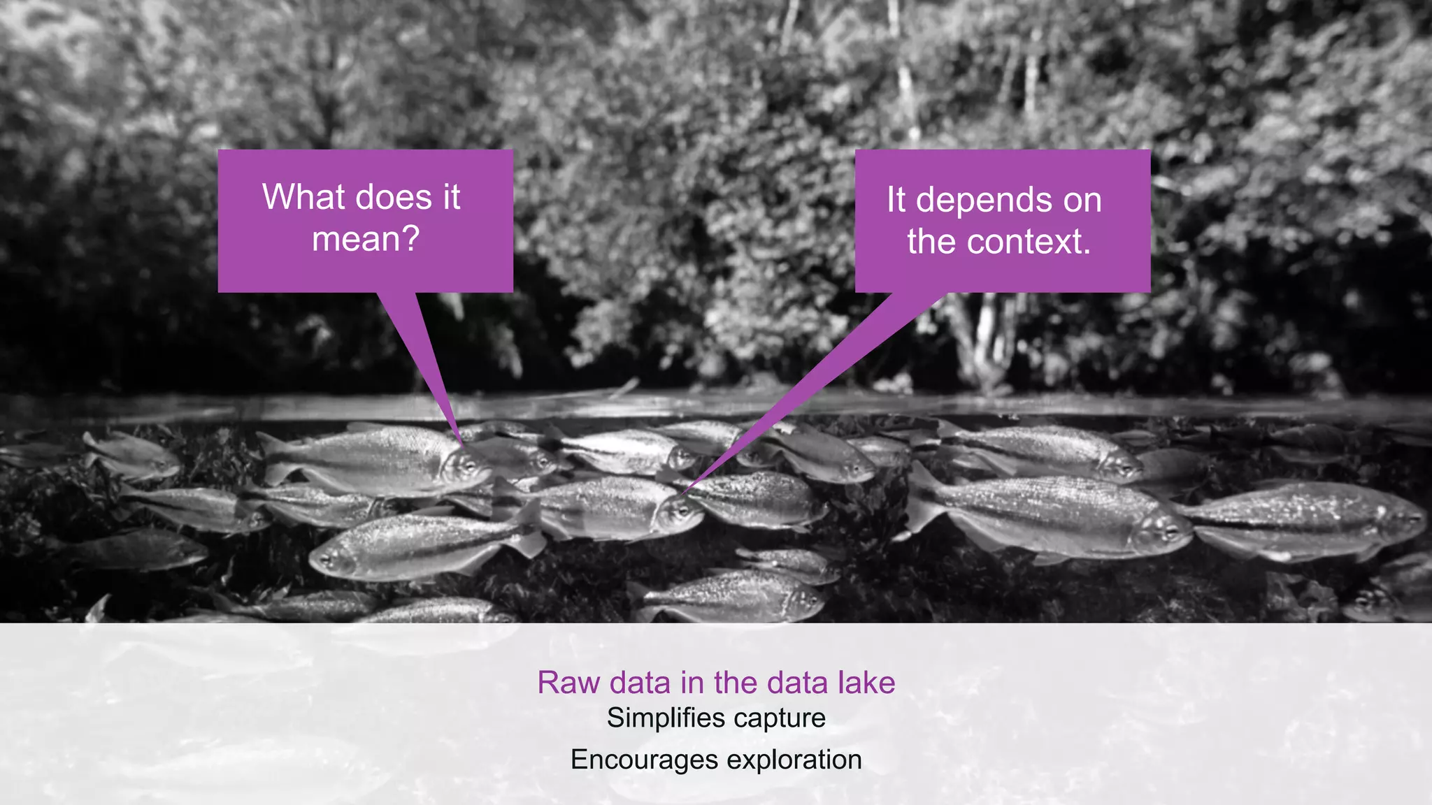 Raw data in the data lake
Simplifies capture
Encourages exploration
What does it
mean?
It depends on
the context.
 