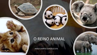 O REINO ANIMAL
PABLO CAMPOS GONZÁLEZ 6ºA
 
