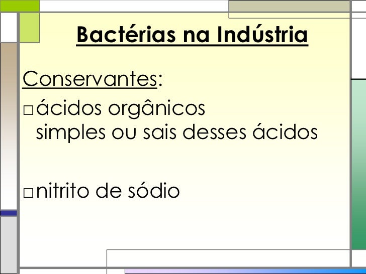 O reino bactéria e o reino arquea