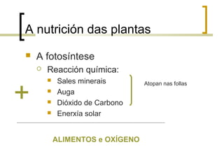 A nutrición das plantas
 A fotosíntese
 Reacción química:
 Sales minerais
 Auga
 Dióxido de Carbono
 Enerxía solar
Atopan nas follas
+
ALIMENTOS e OXÍGENO
 