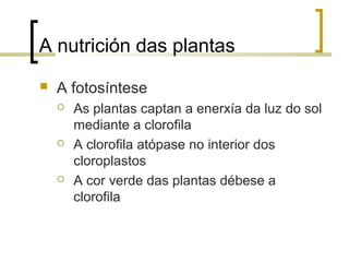 A nutrición das plantas
 A fotosíntese
 As plantas captan a enerxía da luz do sol
mediante a clorofila
 A clorofila atópase no interior dos
cloroplastos
 A cor verde das plantas débese a
clorofila
 