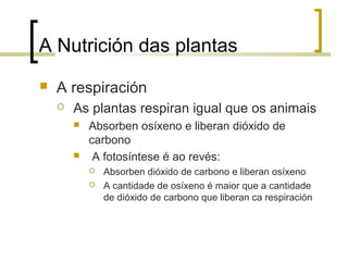 A Nutrición das plantas
 A respiración
 As plantas respiran igual que os animais
 Absorben osíxeno e liberan dióxido de
carbono
 A fotosíntese é ao revés:
 Absorben dióxido de carbono e liberan osíxeno
 A cantidade de osíxeno é maior que a cantidade
de dióxido de carbono que liberan ca respiración
 