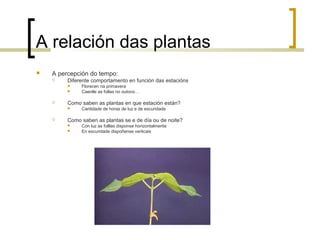 A relación das plantas
 A percepción do tempo:
 Diferente comportamento en función das estacións
 Florecen na primavera
 Caenlle as follas no outono…
 Como saben as plantas en que estación están?
 Cantidade de horas de luz e de escuridade
 Como saben as plantas se e de día ou de noite?
 Con luz as folllas disponse horizontalmente
 En escuridade dispoñense verticais
 
