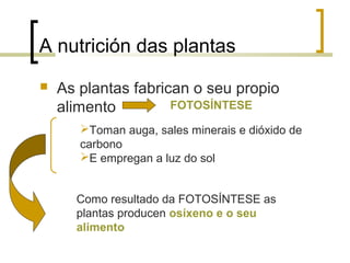 A nutrición das plantas
 As plantas fabrican o seu propio
alimento FOTOSÍNTESE
Como resultado da FOTOSÍNTESE as
plantas producen osíxeno e o seu
alimento
Toman auga, sales minerais e dióxido de
carbono
E empregan a luz do sol
 