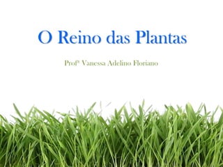 O Reino das Plantas
Profª Vanessa Adelino Floriano
 