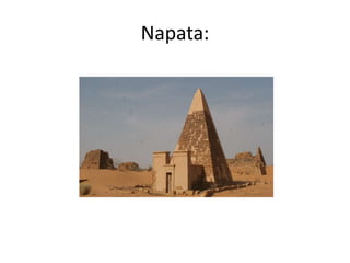 Napata:
 