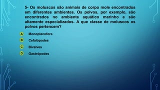 5- Os moluscos são animais de corpo mole encontrados
em diferentes ambientes. Os polvos, por exemplo, são
encontrados no ambiente aquático marinho e são
altamente especializados. A que classe de moluscos os
polvos pertencem?
A
B
C
D
Monoplacofora
Cefalópodes
Bivalves
Gastrópodes
 