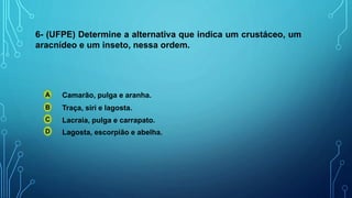 6- (UFPE) Determine a alternativa que indica um crustáceo, um
aracnídeo e um inseto, nessa ordem.
A
B
C
D
Camarão, pulga e aranha.
Traça, siri e lagosta.
Lacraia, pulga e carrapato.
Lagosta, escorpião e abelha.
 