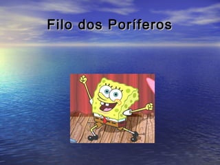 Filo dos Poríferos

 