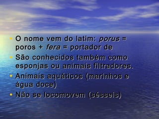 • O nome vem do latim: porus =

poros + fera = portador de
• São conhecidos também como
esponjas ou animais filtradores.
• Animais aquáticos (marinhos e
água doce)
• Não se locomovem (sésseis)

 
