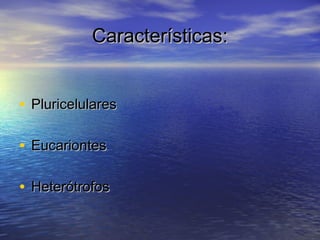 Características:
• Pluricelulares
• Eucariontes
• Heterótrofos

 