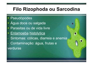 Filo Rizophoda ou Sarcodina
  Pseudópodes
  Água doce ou salgada
  Parasitas ou de vida livre
  Entamoeba histolytica
- Sintomas: cólicas, diarreia e anemia
- Contaminação: água, frutas e
verduras
 