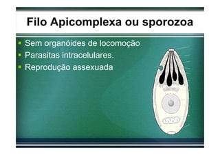 Filo Apicomplexa ou sporozoa
Sem organóides de locomoção
Parasitas intracelulares.
Reprodução assexuada
 