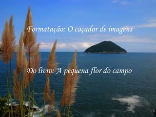 Formatação: O caçador de imagens Do livro: A pequena flor do campo 