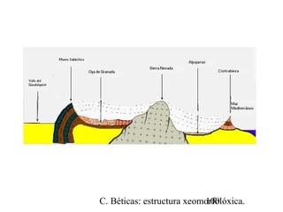 C. Béticas: estructura xeomorfolóxica.100
 