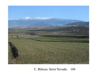 C. Béticas: Serra Nevada. 104
 