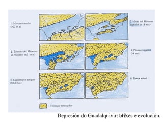 Depresión do Guadalquivir: orixes e evolución.112
 