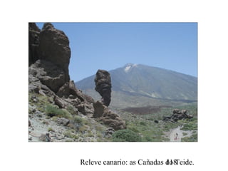 Releve canario: as Cañadas do Teide.118
 
