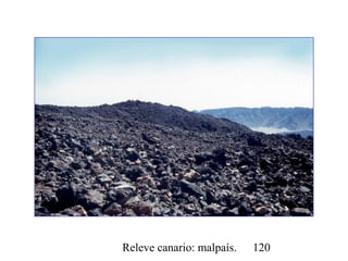 Releve canario: malpaís. 120
 