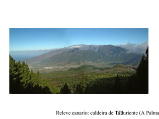 Releve canario: caldeira de Taburiente (A Palma122
 