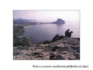 Releve costeiro mediterráneo: peñón (Calpe)135
 