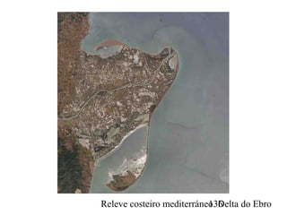Releve costeiro mediterráneo. Delta do Ebro136
 