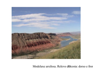 Modelaxe arxilosa. Relevo en costa: dorso e fron30
 