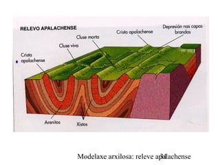 Modelaxe arxilosa: releve apalachense31
 