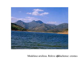 Modelaxe arxilosa. Releve apalachense: crestas e32
 