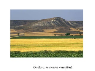 O releve. A meseta: campiñas46
 