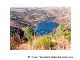 O releve. Penichaira occidental da meseta.47
 