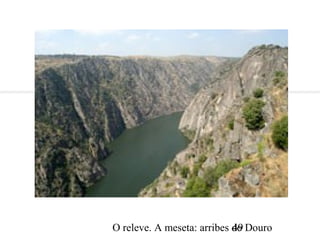 O releve. A meseta: arribes do Douro49
 