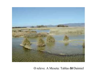 O releve. A Meseta: Tablas de Daimiel50
 