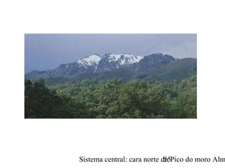 Sistema central: cara norte do Pico do moro Alm55
 