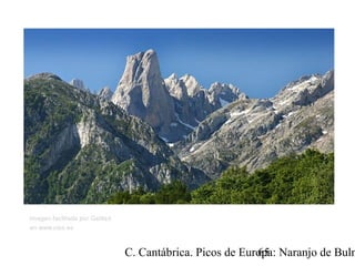 C. Cantábrica. Picos de Europa: Naranjo de Buln65
 
