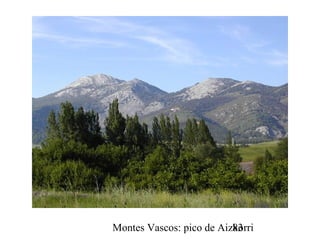 Montes Vascos: pico de Aizkorri83
 