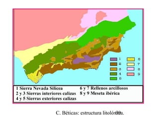 C. Béticas: estructura litolóxica.99
 