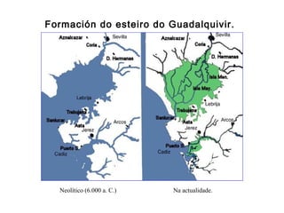 Formación do esteiro do Guadalquivir.
Neolítico (6.000 a. C.) Na actualidade.
 