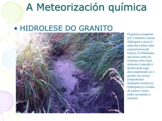 A Meteorización química
• HIDROLESE DO GRANITO
O granito (composto
por 3 minerais cuarzo,
feldespato e mica) é
unha das rochas máis
características de
Galicia. O feldespato
que áctua como un
cemento entre estes
minerais é atacado é
disolto pola auga
descompoñendo así o
granito nos sewus
compoñentes
formando arxilas (os
feldespatos) e cristais
de cuarzo e mica
(máis resistentes a
erosión)
 