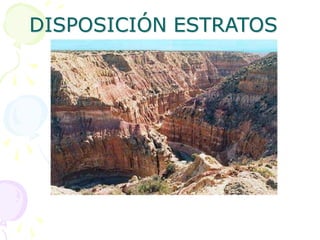 DISPOSICIÓN ESTRATOS
 