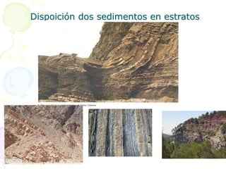 Dispoición dos sedimentos en estratos
 