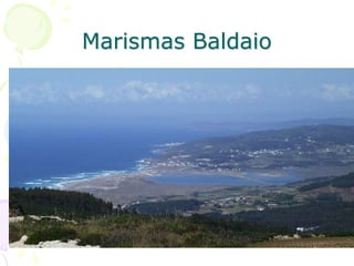 Marismas Baldaio
 