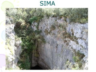 SIMA
 